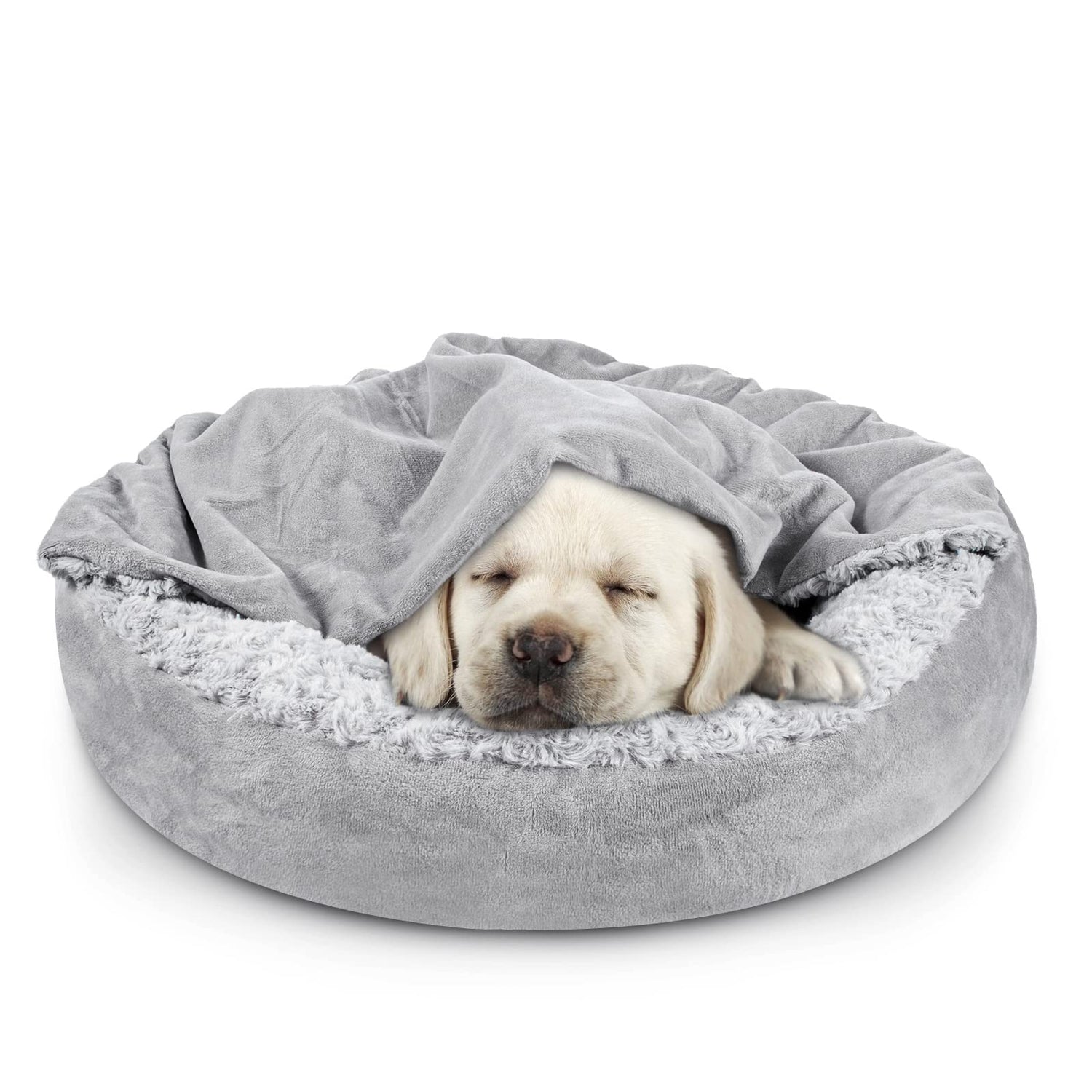 Beds and Blankets