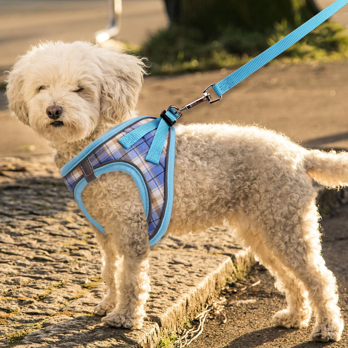 Harnesses