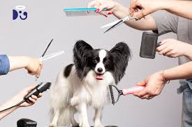 Grooming Supplies